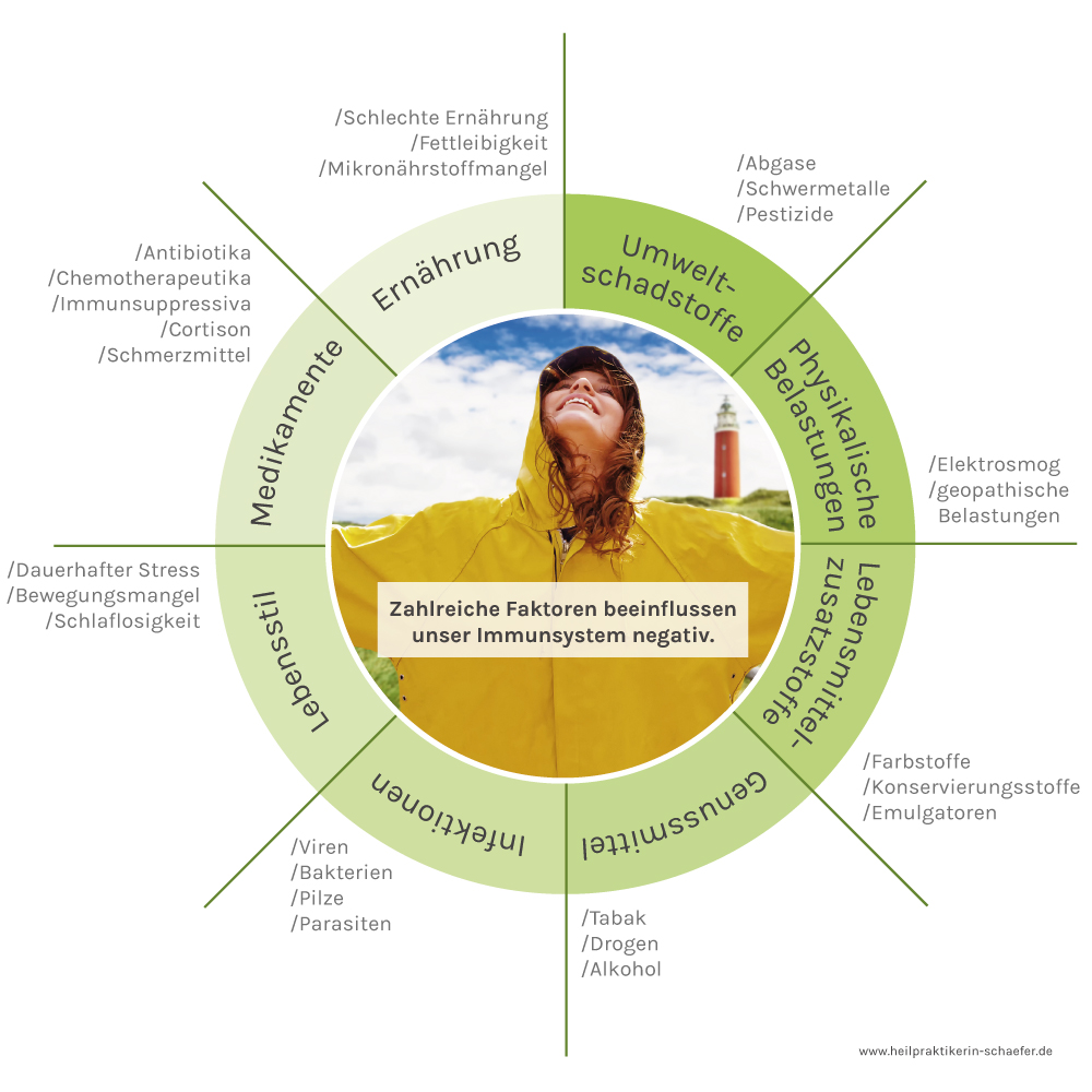 Kreisgrafik mit acht Belastungsfaktoren für das Immunsystem: Ernährung, Umweltschadstoffe, physikalische Belastungen, Lebensmittelzusatzstoffe, Genussmittel, Infektionen, Lebensstil und Medikamente
